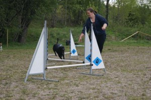 Agilitykurs4