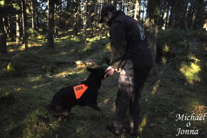 Bruksträning9