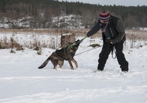 dsc_0012-kopiera