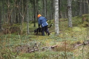 Läger 2015