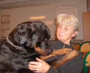Mari och Fräckiz
