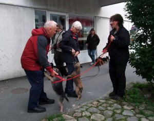 Miljögruppen3