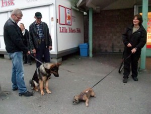 Miljögruppen6