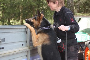 Läger 2015