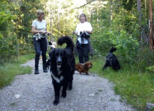 TRIVSELGRUPP1