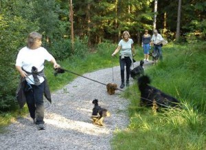 TRIVSELGRUPP2