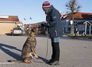 advent2-kopiera