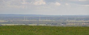 mosse7