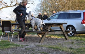 nosework14