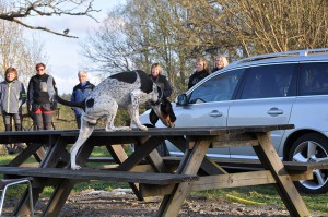 nosework16