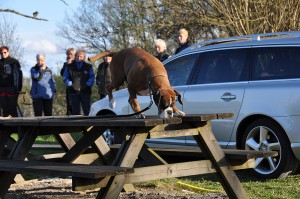 nosework24
