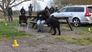 nosework6