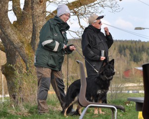 nosework8