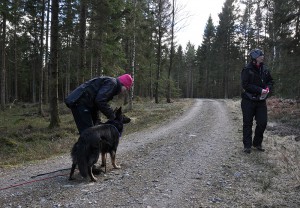 possaforbereds kopiera