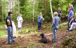 bild12