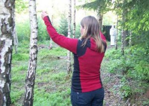 bild17