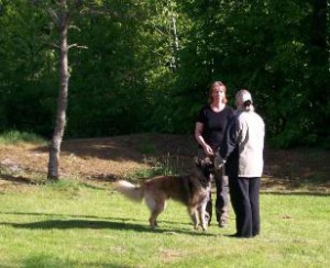 bild18