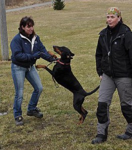 bild24