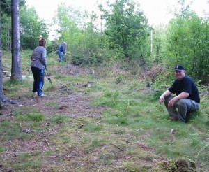 bild3