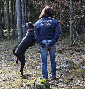 bild34