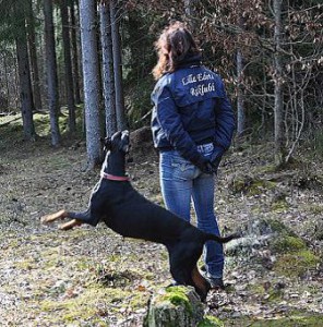 bild35