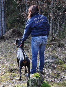 bild36