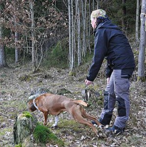 bild39