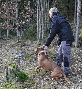 bild40