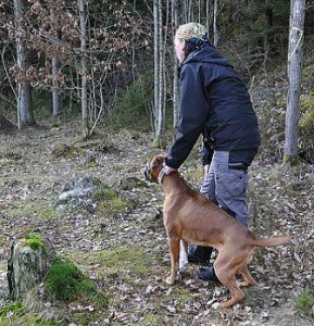 bild41