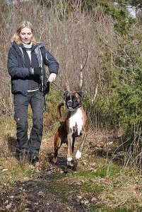 bild45