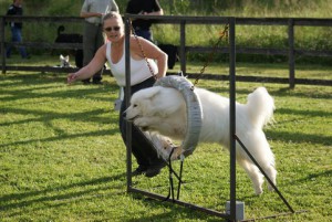 30 juni 2010