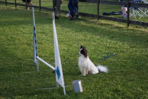 30 juni 2010