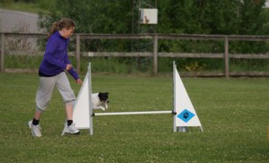 30 juni 2010