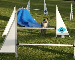 30 juni 2010