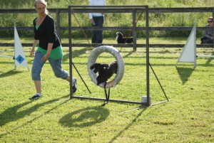 30 juni 2010