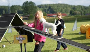 30 juni 2010