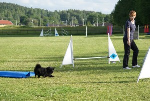 30 juni 2010