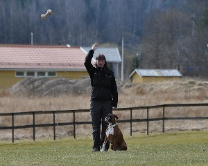 1 april 2012