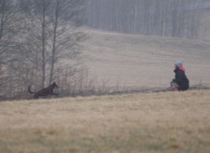 5 april 2009