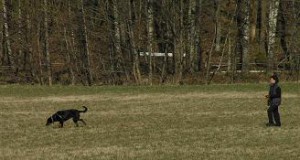 Appell 1 april 2007