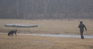 3 april 2011