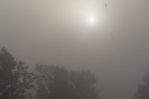 Tidig morgon