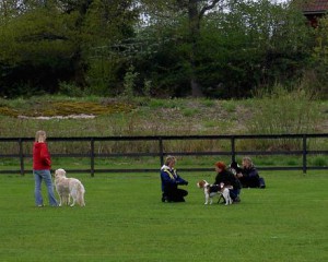 grundkurs 2006