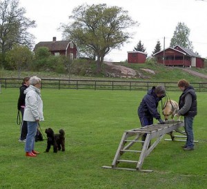 grundkurs 2006