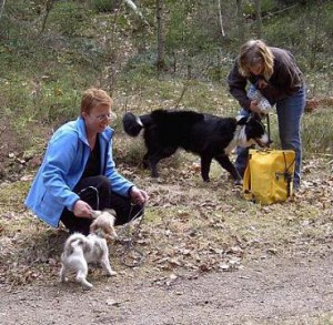 grundkurs 2006