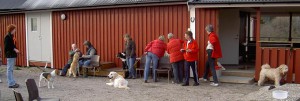 grundkurs 2006