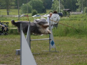 KM 2011