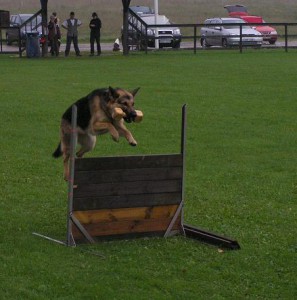 klubbmästerskap 2006