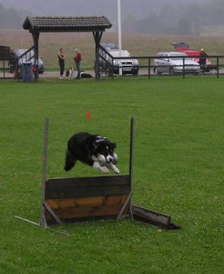 klubbmästerskap 2006
