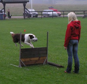 klubbmästerskap 2006